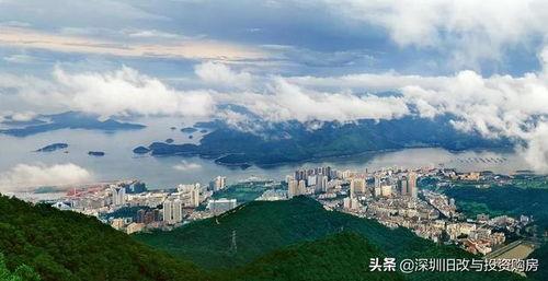 深圳盐田爆料案件最新,真相渐浮水面，警方全力侦破